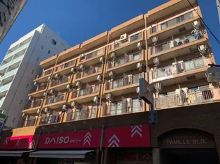 ファミーユビル【0502号室】の外観