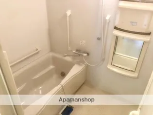 パルク ド スリジェ【2階】の風呂