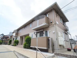 ノア アンの画像