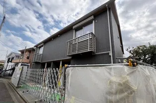 ゆずの樹の画像