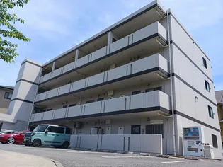SAKURAGRACEの画像