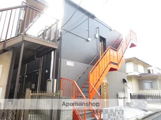 モンステラ菊名の画像