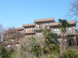 ヒルハイツ妙蓮寺の画像