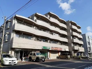 レポサール弥勒寺【4階】の外観