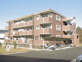 ボヌールKの画像