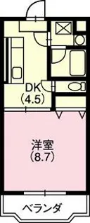 コンフィアンス【305号室】の間取り