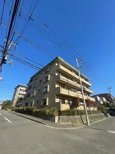 グレース代官4の画像