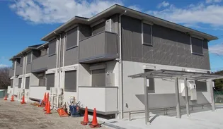 セレナオモダカの画像