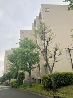 さつき住宅25号棟の画像