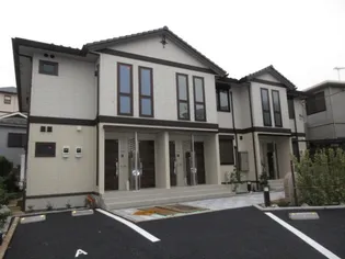 マタリキの画像