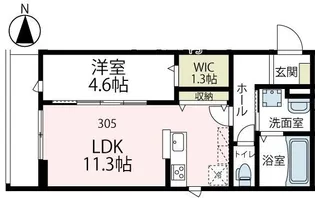 メゾン獅子ヶ谷【305号室号室】の間取り