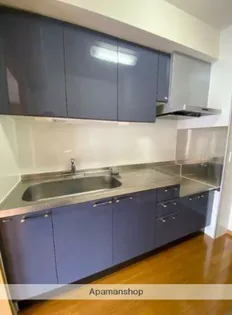 パルク ド スリジェ【1階】のキッチン