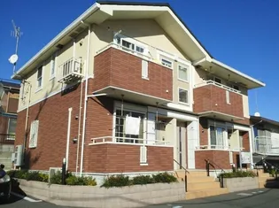 ハイ フォレストの画像