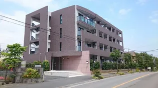 ラフィネの画像