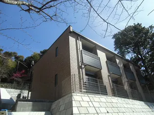 シャルマンの画像