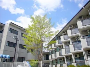 コンドミニアムメイ大倉山【3階】の外観