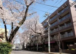 コンフォリアたまプラーザ【2階】の外観