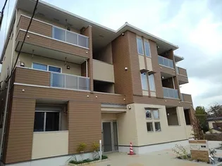 カメリアK Iの画像