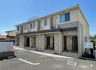 パーム ツリーの画像