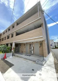 アイビーVの画像