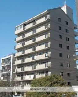 バイムフルス白金Iの画像