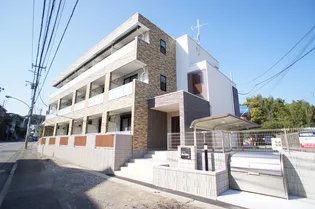 リブリグランシャインの画像