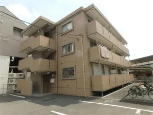 サン パーシモンの画像