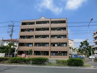 パラシオン平塚【00507号室】の外観