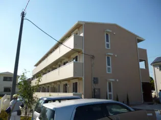 プルメリア グレイスの画像