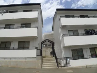 MステージIIの画像