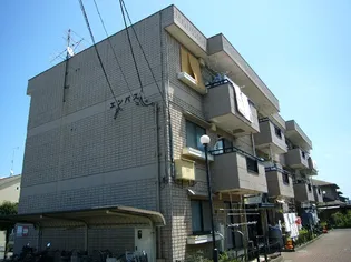 エンパスの画像