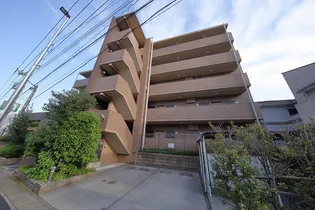 オキザリスの画像