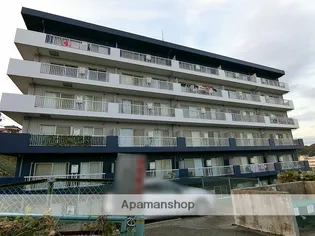 WITH PLACE MORISAKIの画像