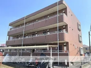 ブロメリアの画像