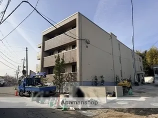 アスターミキの画像