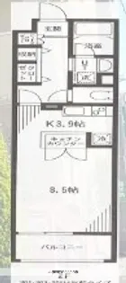 ユーロステージ【1階】の間取り