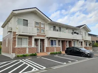 ソレアード ピノの画像