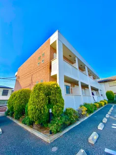 ブラーヴ クールの画像