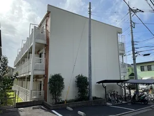 レオネクストユーカリの画像