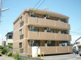 ブロッサムの画像