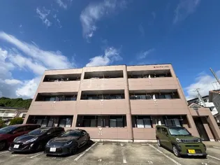 コンフォース Sの画像