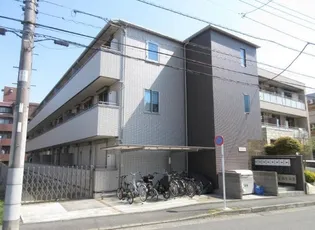 ノーサ ルーチェの画像