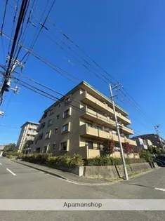 グレース代官4の画像