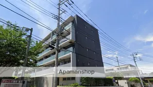 エクセラ鎌倉植木の画像