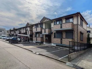 サザンクロスの画像