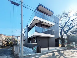 トゥトゥアジュールの画像