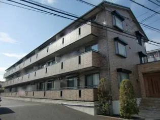 サザンクロスの画像