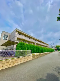 アタラクシアの画像