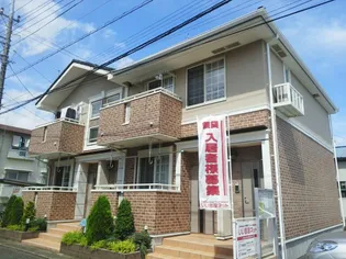 ビッグ・ニューⅡ【1階】の外観