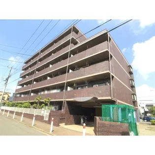 ポーロウニア千代田の画像